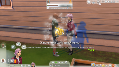 Большой бедокур Sims 4